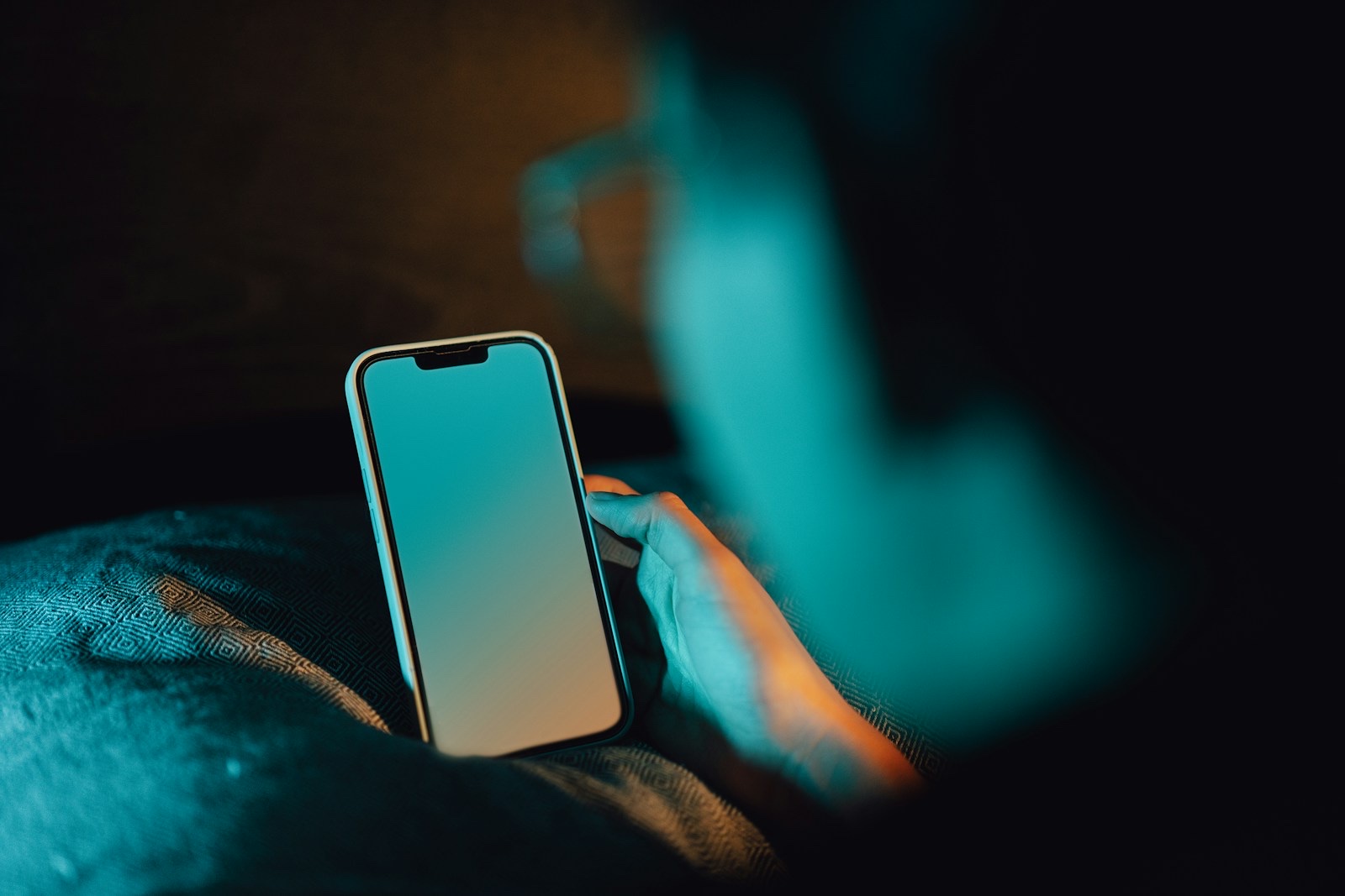 スマホの申し込み画面を慎重に確認する様子