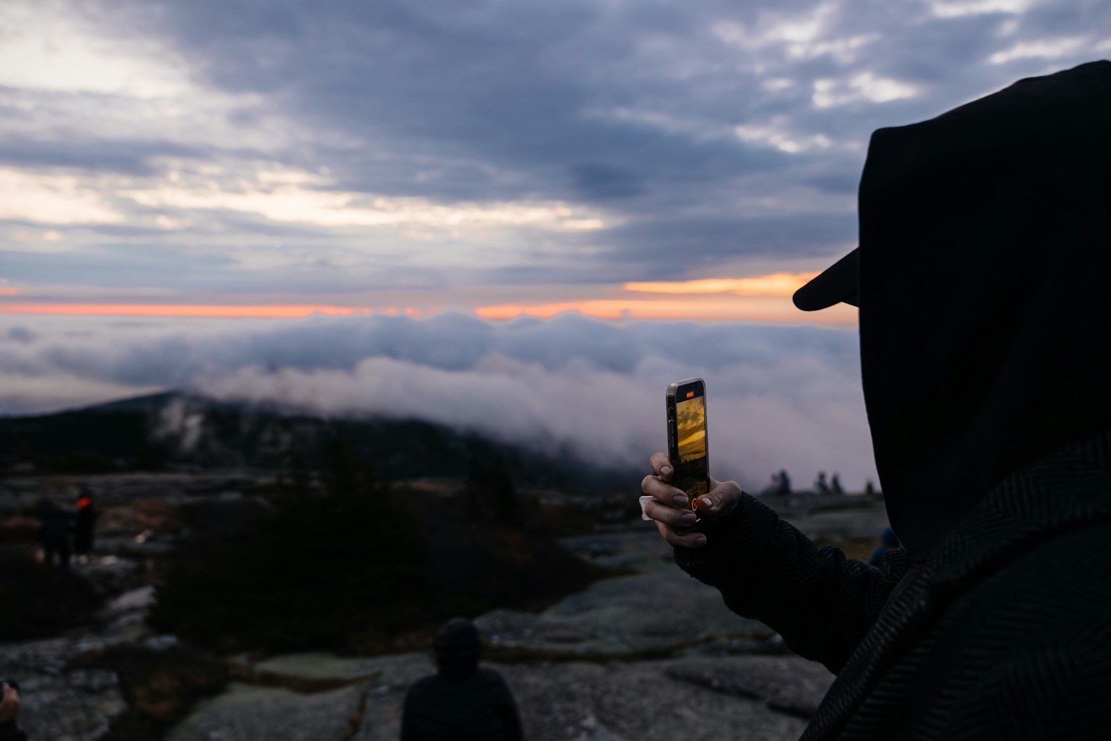 山や海など空が開けた場所でスマホを操作する人