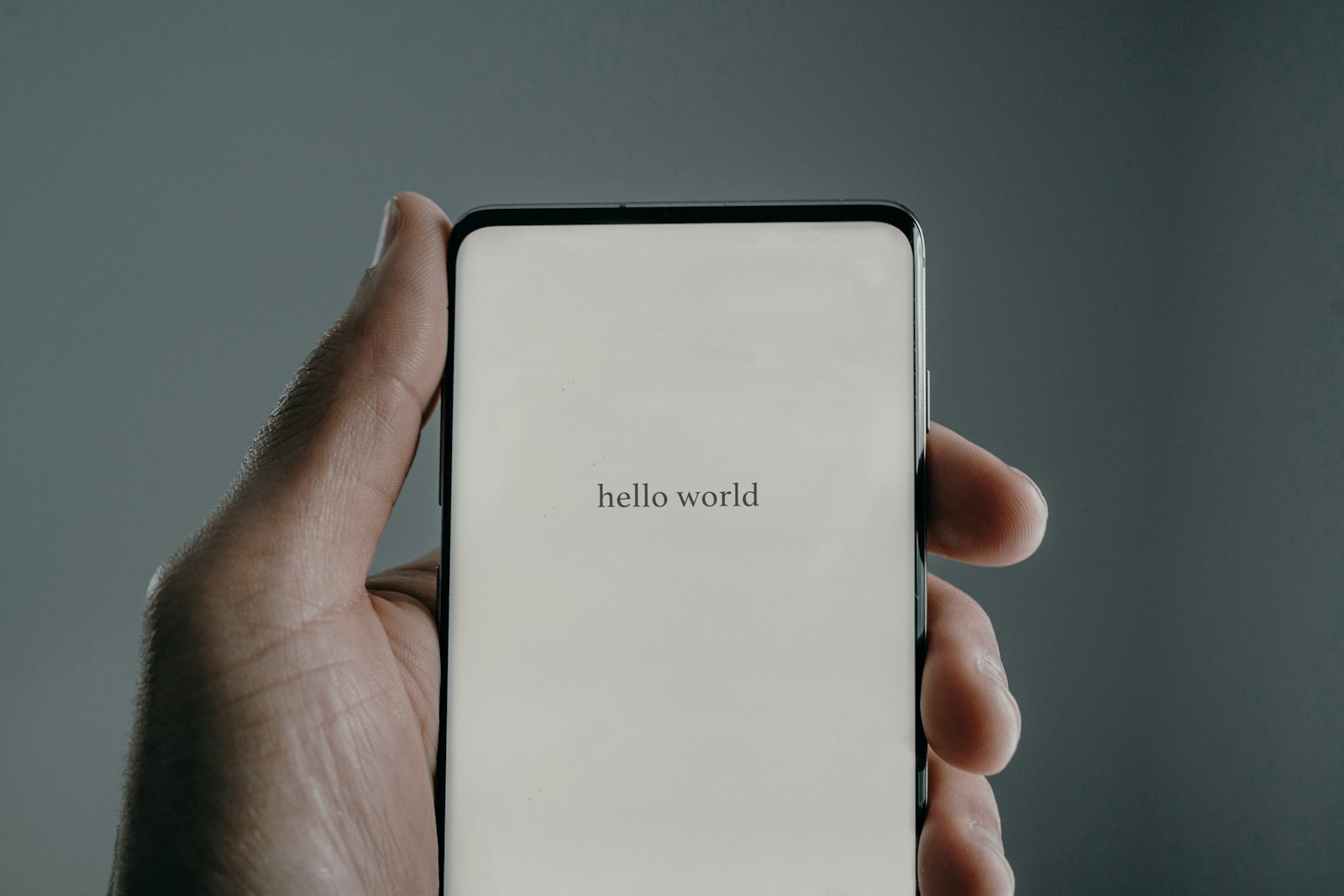 スマートフォンの申し込み画面を確認する人物