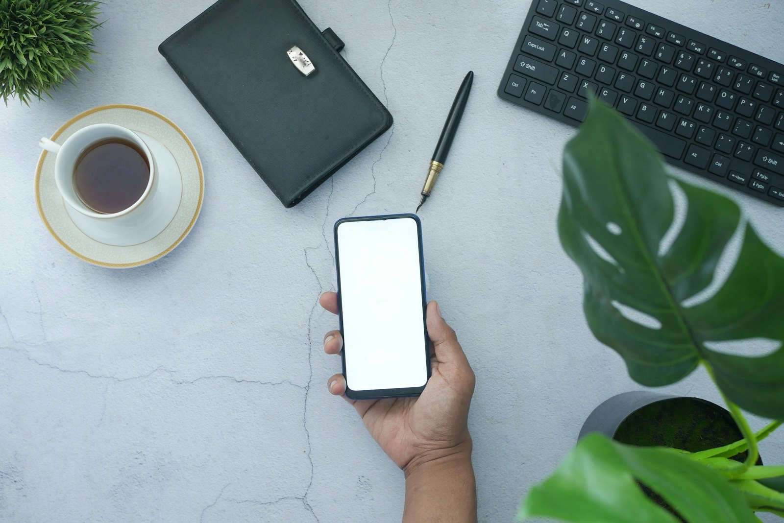 スマホで申し込み手続きをする様子