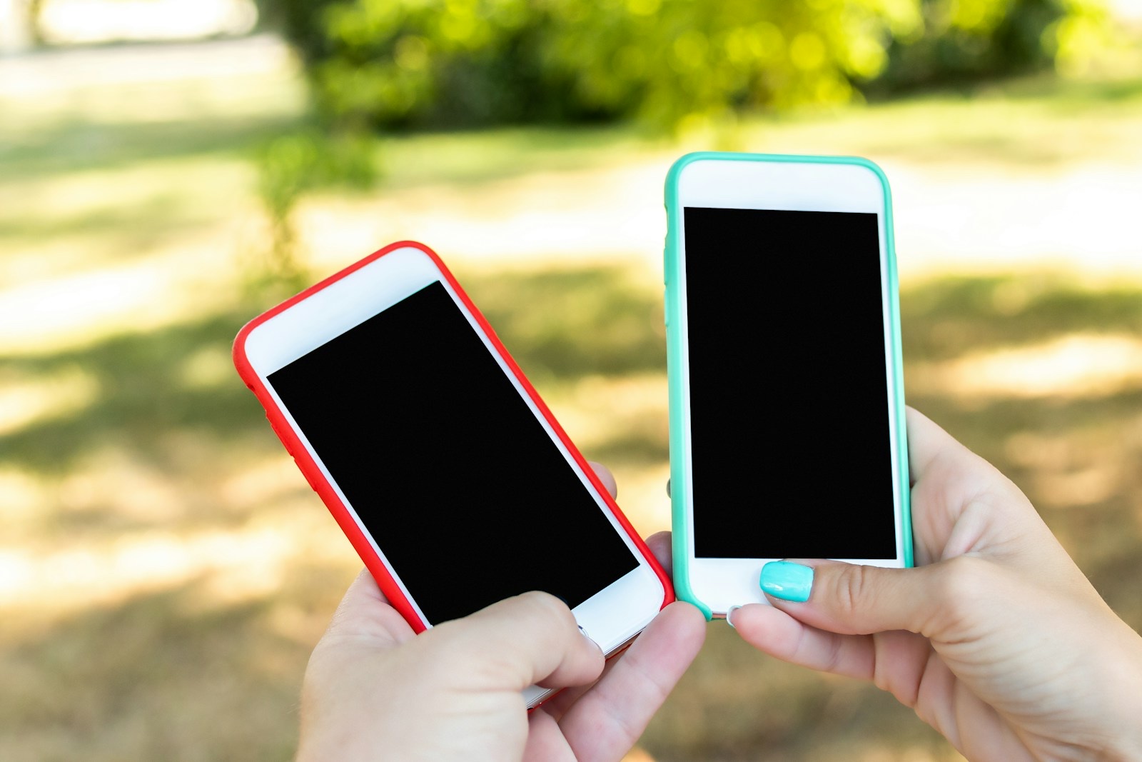 iPhone本体を手に持って価格を比較する様子